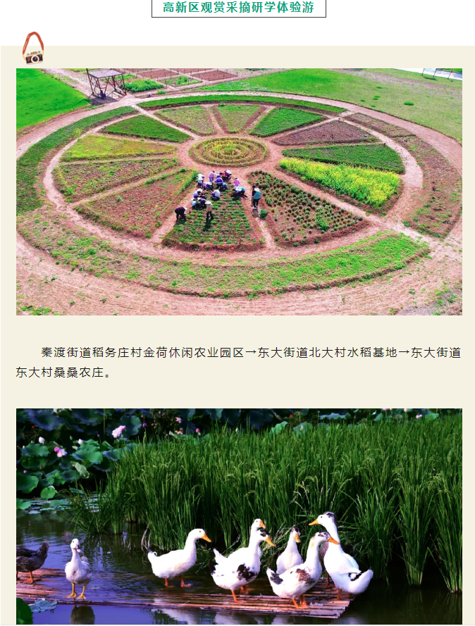 微信图片_20240624084222.png